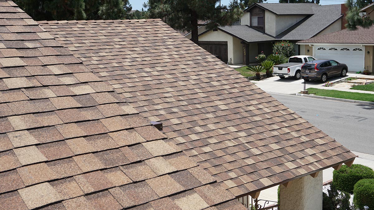 Professional Roof Replacement Services Professional Roof Replacement Services