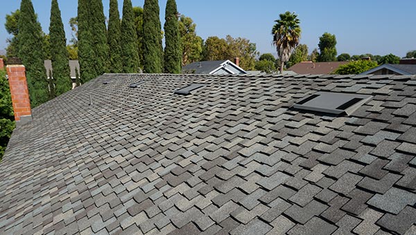 Professional Roof Inspection Services Professional Roof Inspection Services
